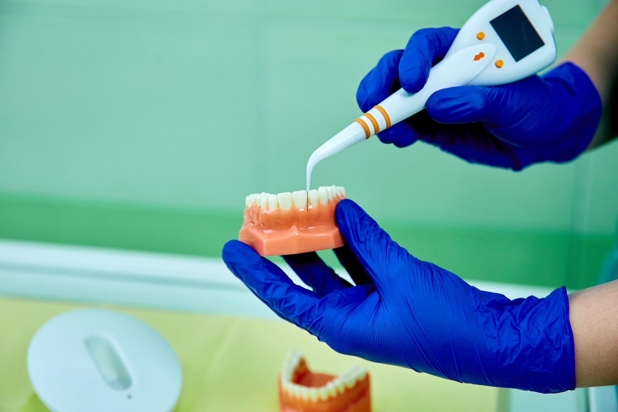 Dentist holding teeth model denture and periodontal probe. Dentist holding teeth model denture and periodontal probe.