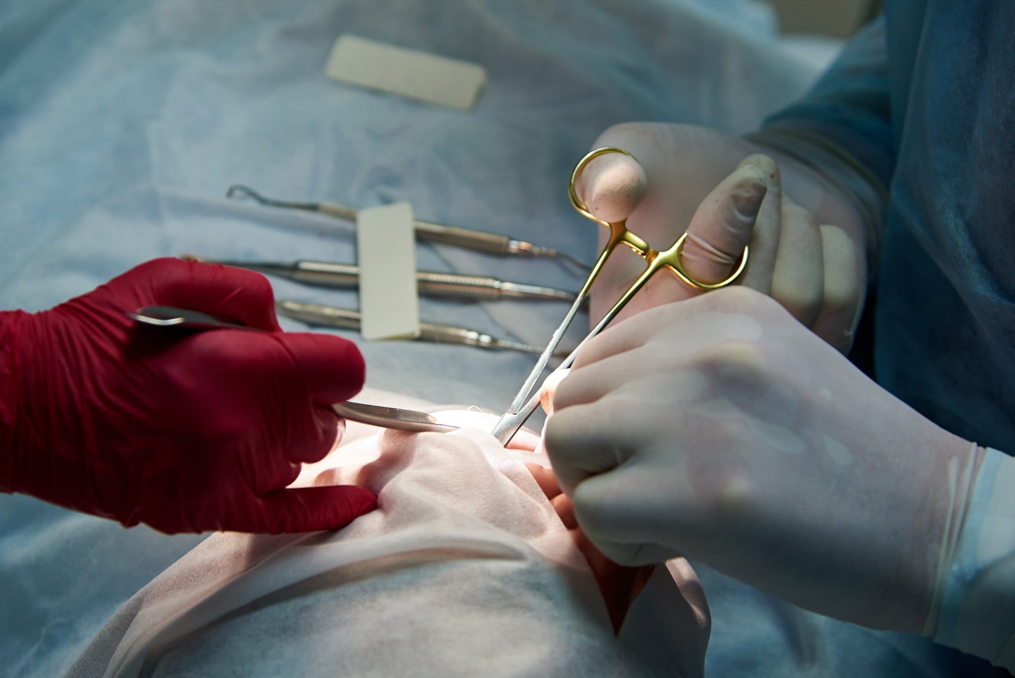 Surgery in a dental clinic Surgery in a dental clinic